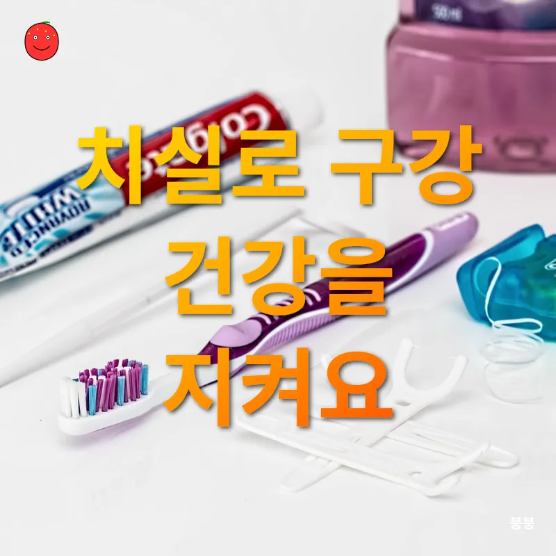 친환경 치실_1