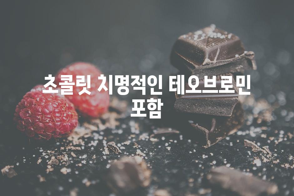 초콜릿 치명적인 테오브로민 포함