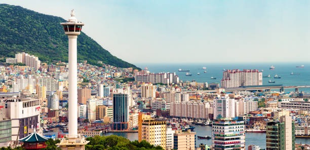 2025년 부산 해운대 해수욕장 개장 및 편의시설 정보