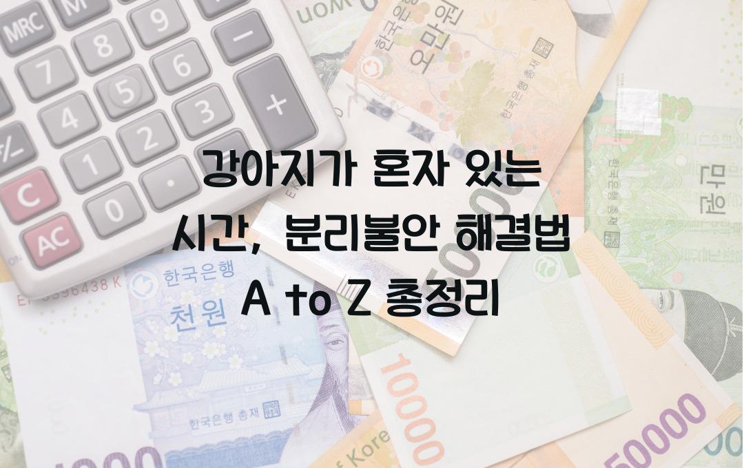 강아지가 혼자 있는 시간, 분리불안 해결법 A to Z
