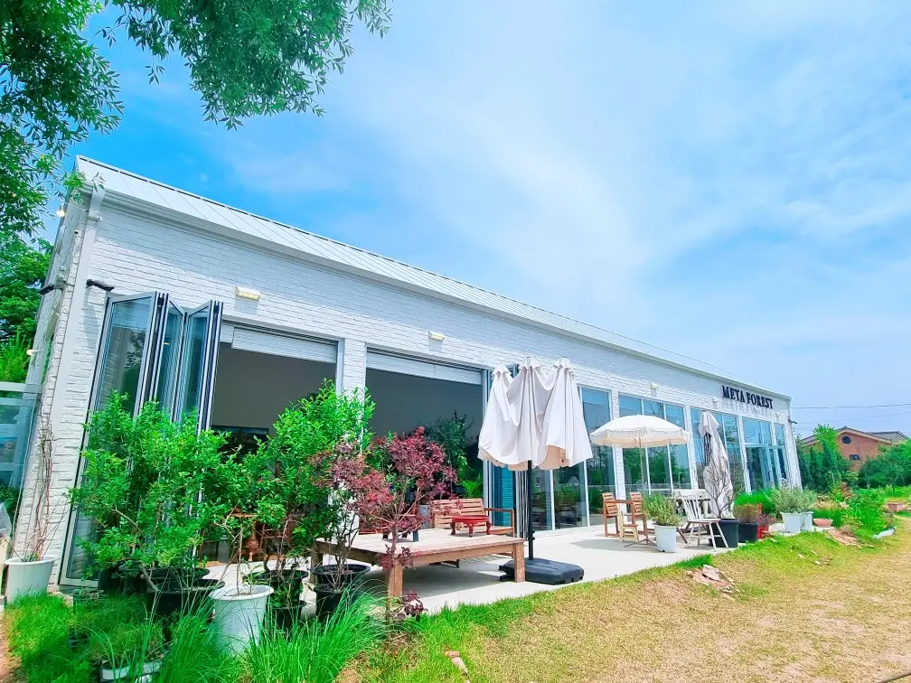 강화도 메타포레스트 수도권 숲 카페: 메타세콰이어 숲 속 연못이 있는 커피, 디저트 맛집, 주차