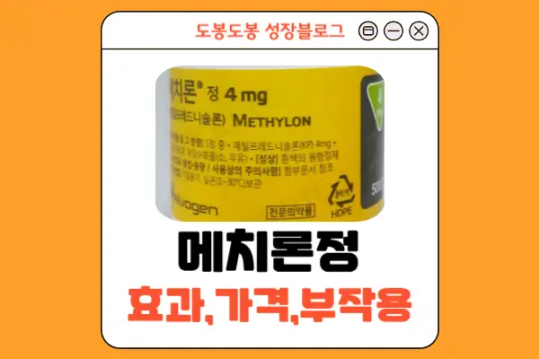 메치론정 안내 이미지