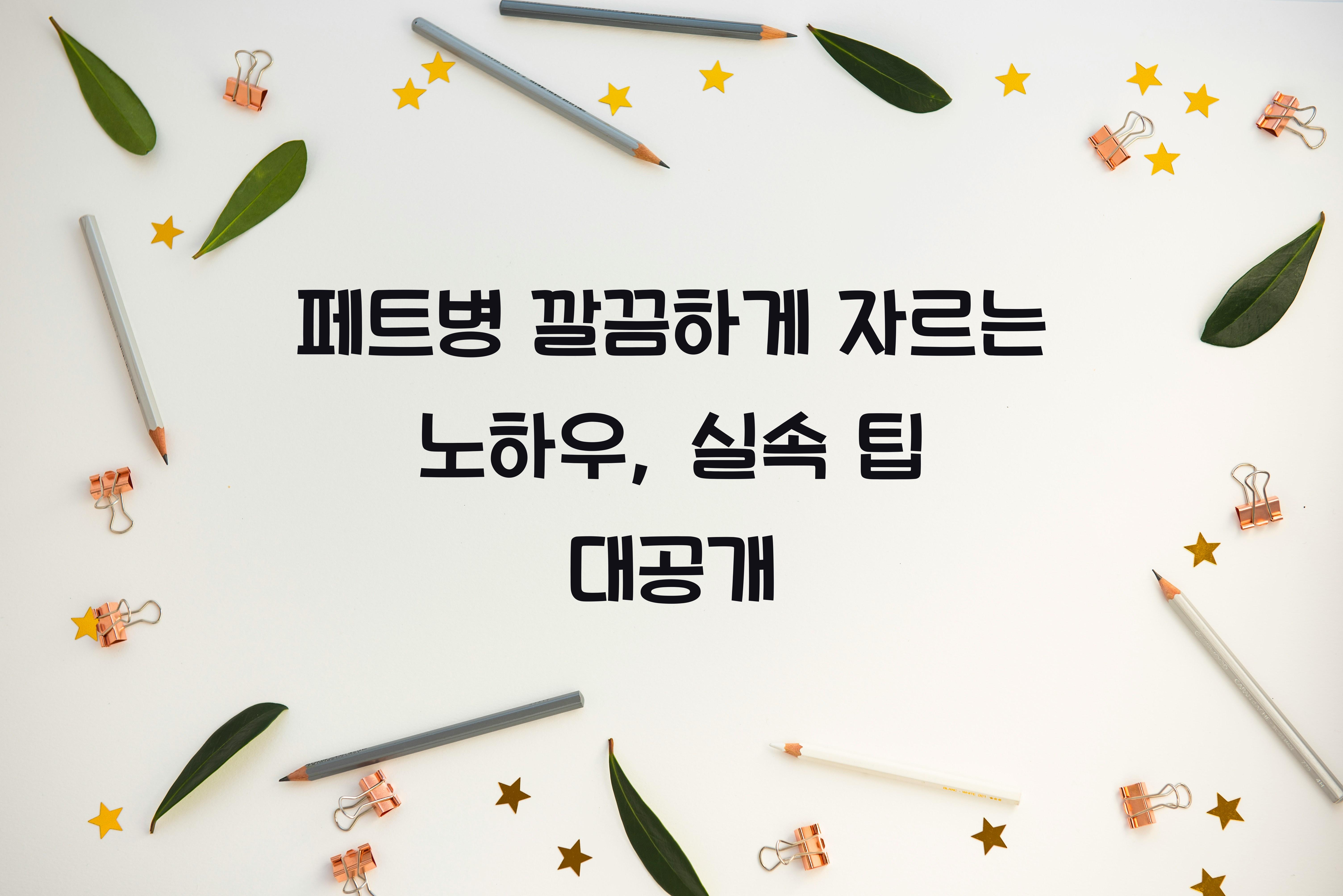 페트병 깔끔하게 자르는 노하우