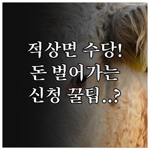 적상면 농어민 수당 기본소득 신청 방..