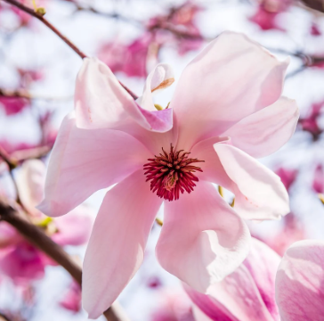 경기도 봄 여행지 추천