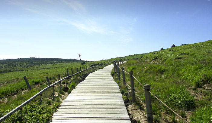제주 여행 렌트 vs 대중교통 (비용, 편의성, 추천)