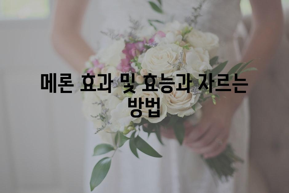 샘플 (71)