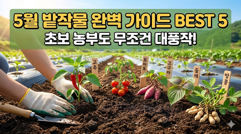 5월에 심는 밭작물