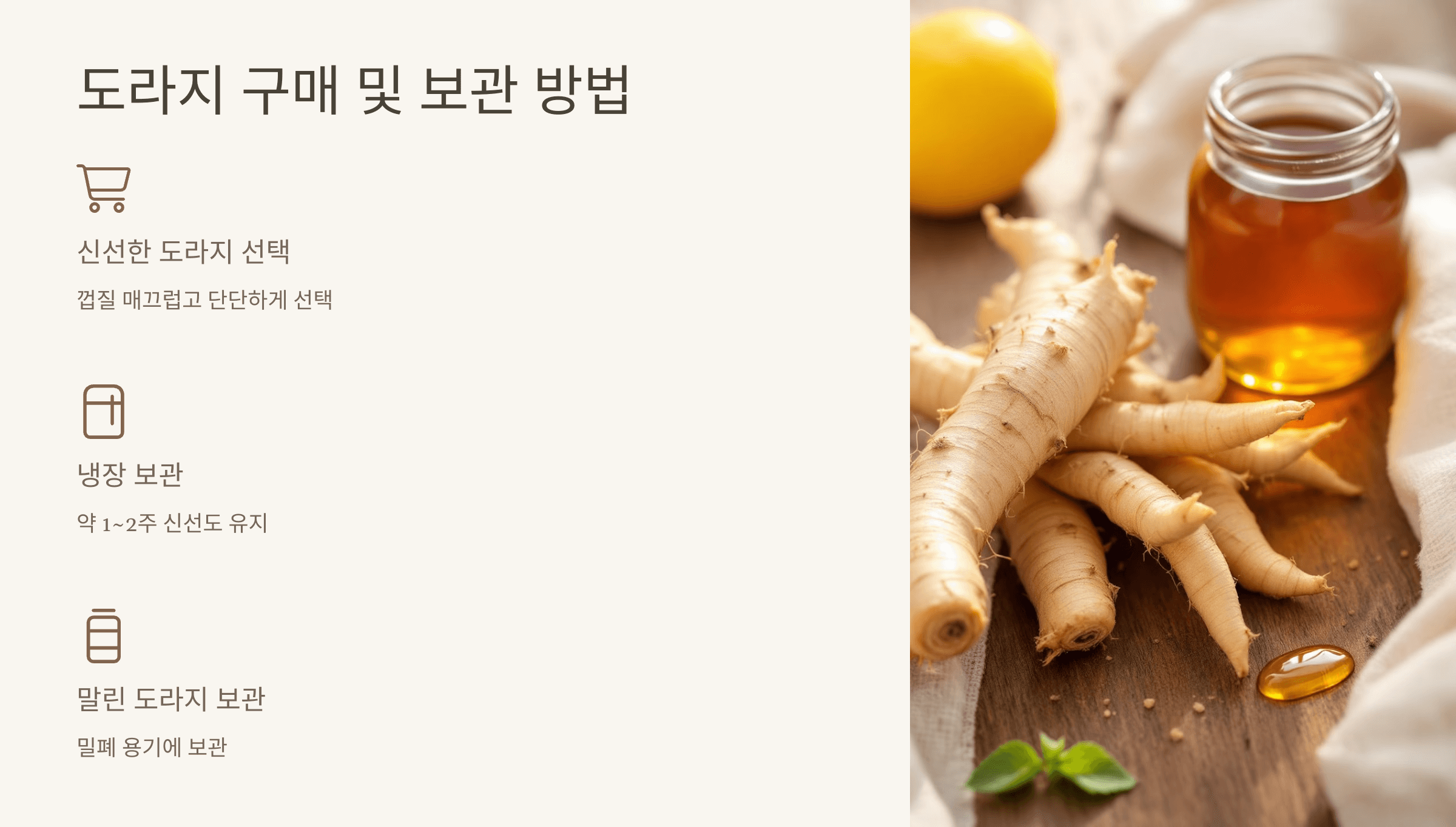 도라지 사진입니다.