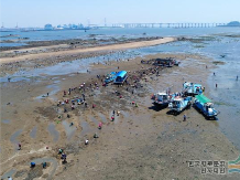 ‘지역 정체성’이 관광을 바꾼다 — 당진형 로컬관광의 실험 사례