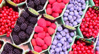 블루베리이미지