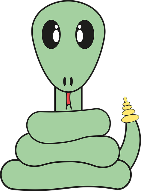 뱀꿈 해몽 10가지 물리는 꿈 등