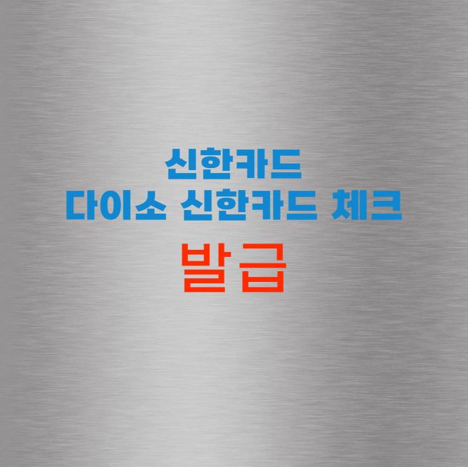 다이소 신한카드 체크