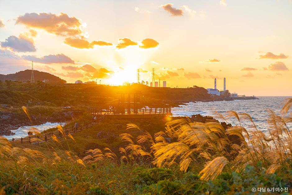 가을 여행지 제주도 은빛 물결 억새 추천 장소