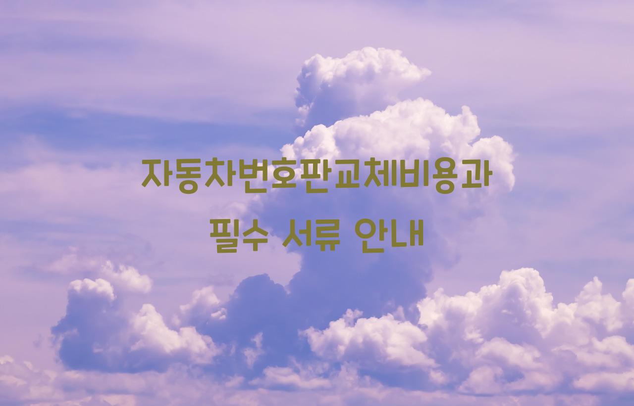 자동차번호판교체비용