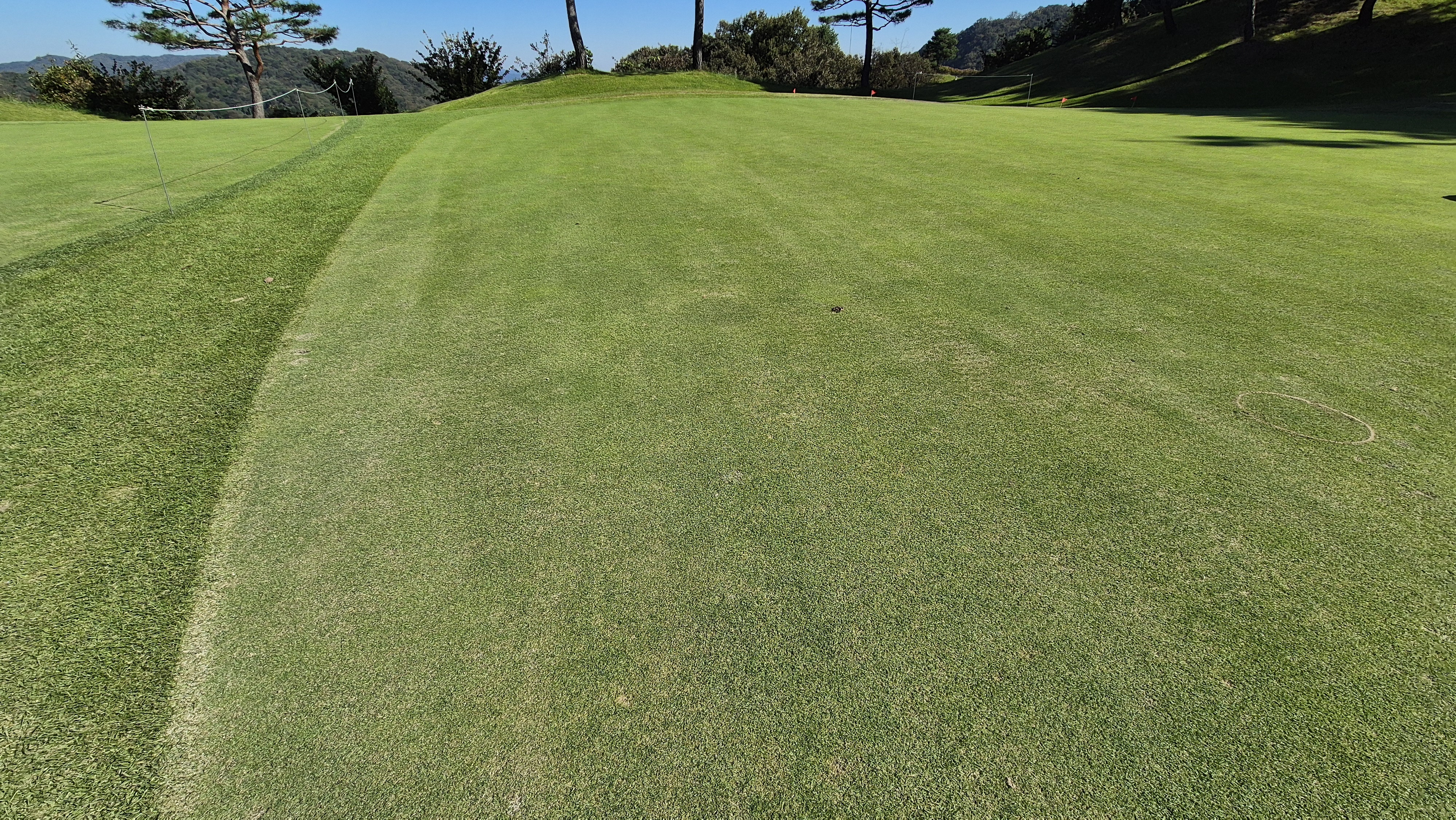 떼제베cc 동-북 코스 그린 관리 상태