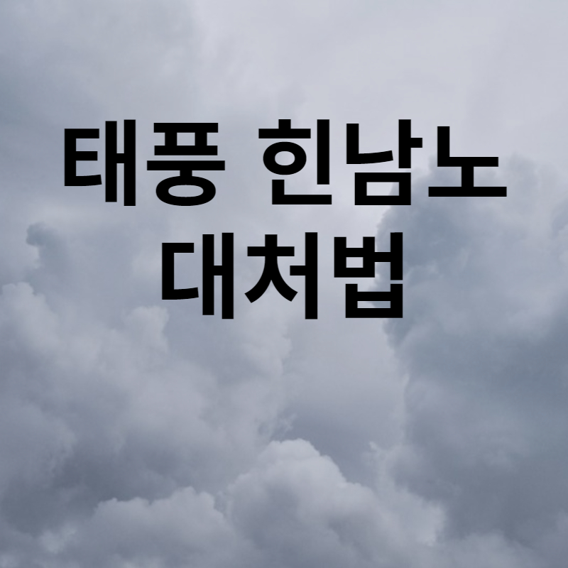 태풍힌남노대처법 썸네일