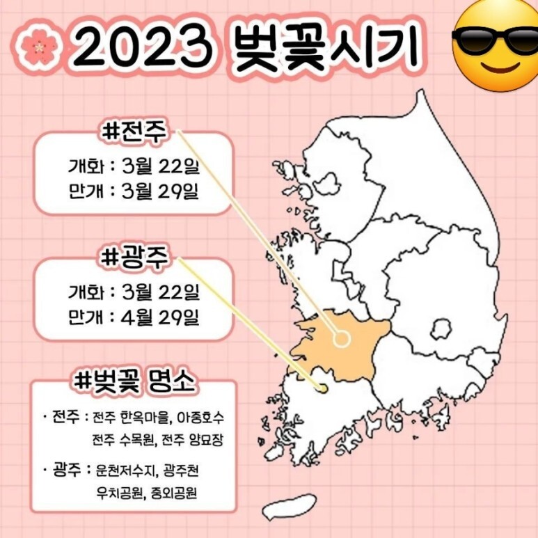 2023년 벚꽃 개화시기