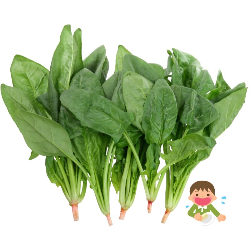 시금치