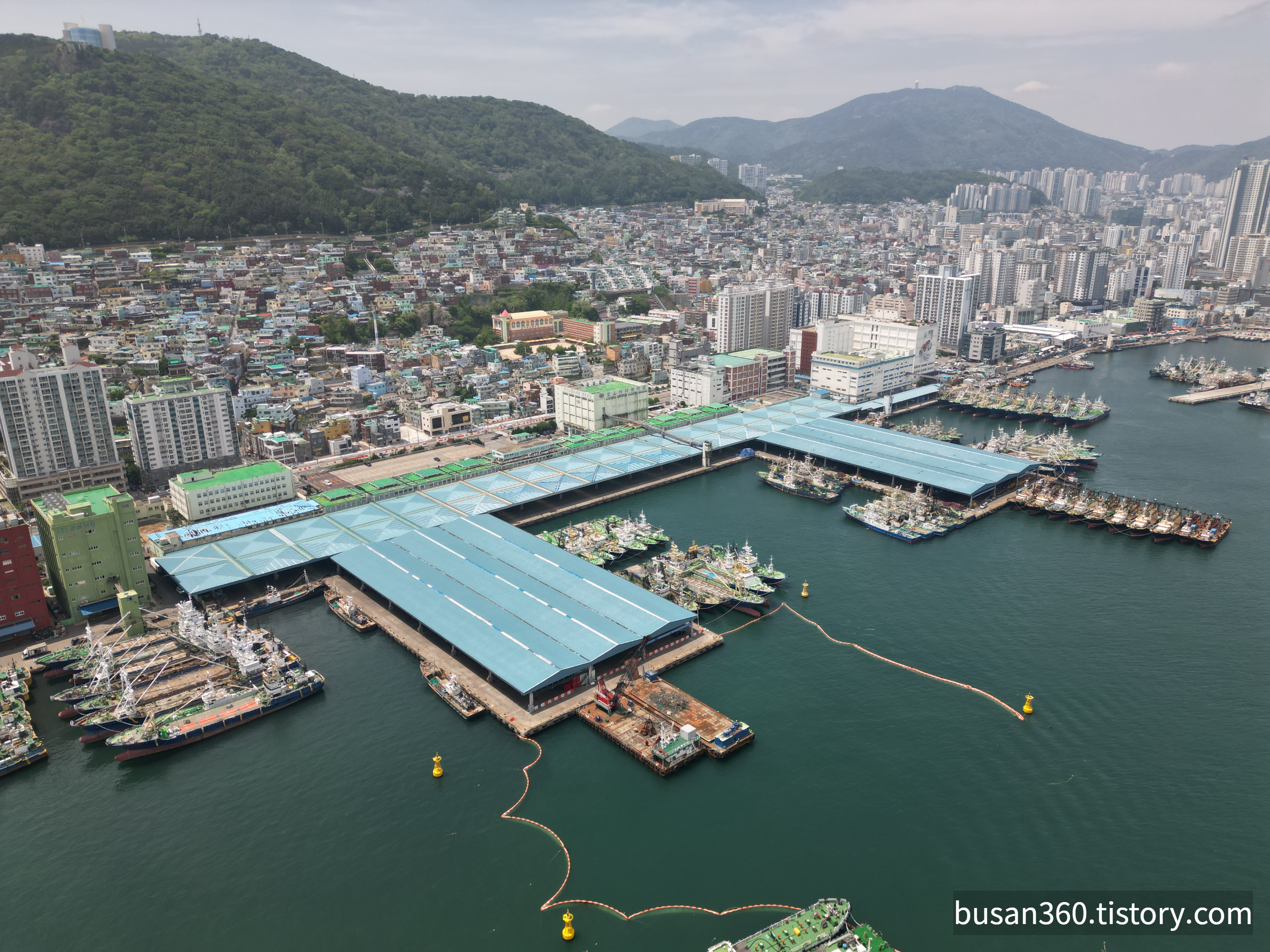부산공동어시장