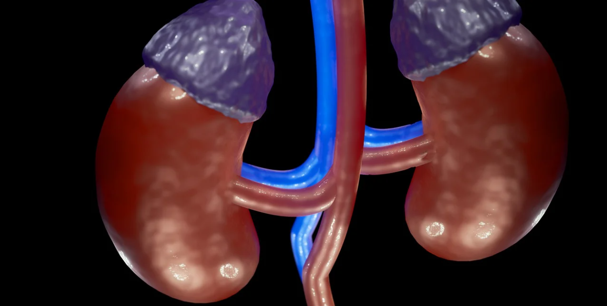 소아 신증후군과 성인 신증후군의 차이부터 관리 팁까지! 건강을 위한 완벽 가이드