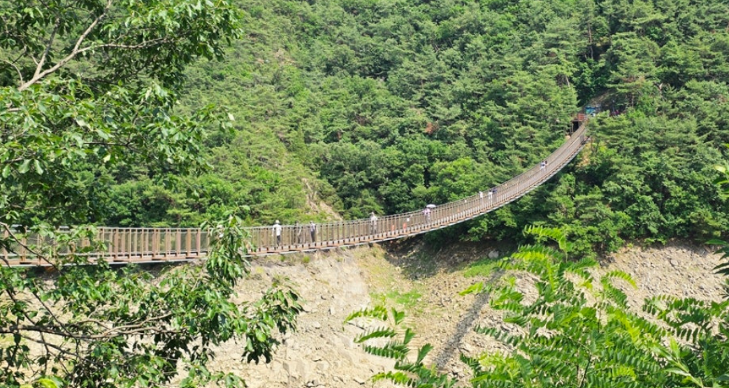 제천 옥순봉 출렁다리