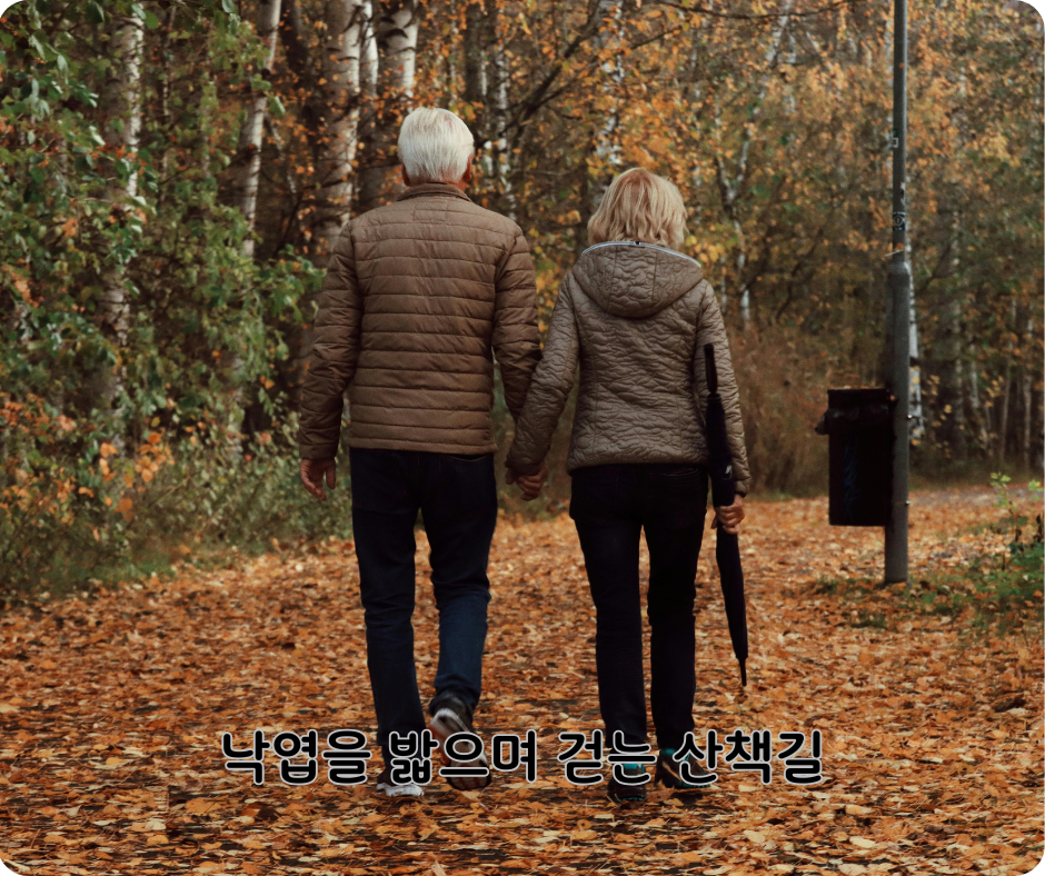 걷는게 약이다