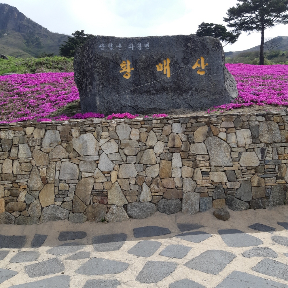 황매산-철쭉제-입구