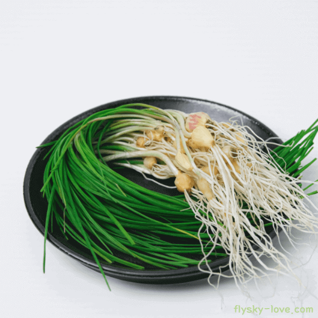 고혈압에 도움이 되는 달래