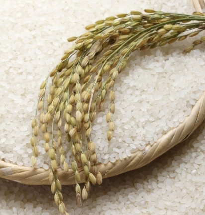 ๋ฐ๋๋์ ํจ๋ฅ๊ณผ ๊ฐ๊ฒฉ ์ด์ ๋ฆฌ, ์ด๋ ๊ฒ ๋จน์ผ๋ฉด ๊ฑด๊ฐ ํจ๊ณผ๊ฐ ๋ฌ๋ผ์ง๋๋ค