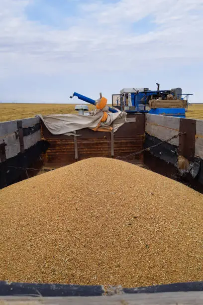 곡물 관련주 수혜주