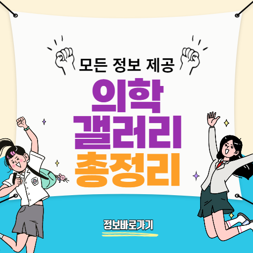 의학갤