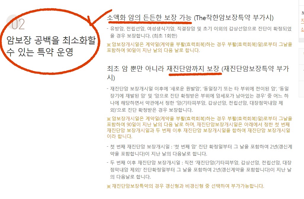 더착한암보험의 두번째 주요서비스 설명