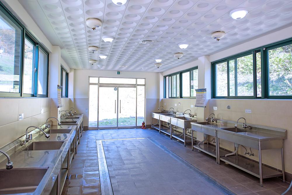 전라남도 담양 금성산성 오토캠핑장 소개