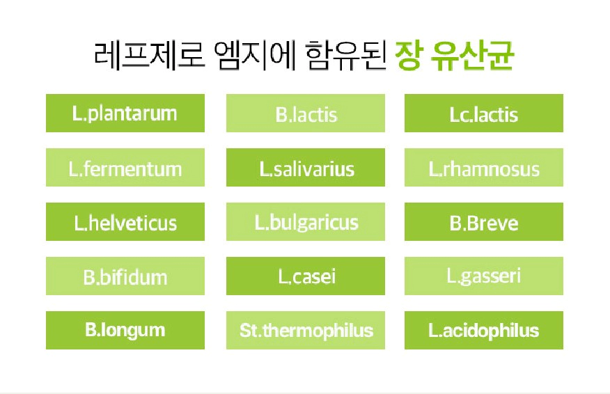레프제로 구강유산균 추천 