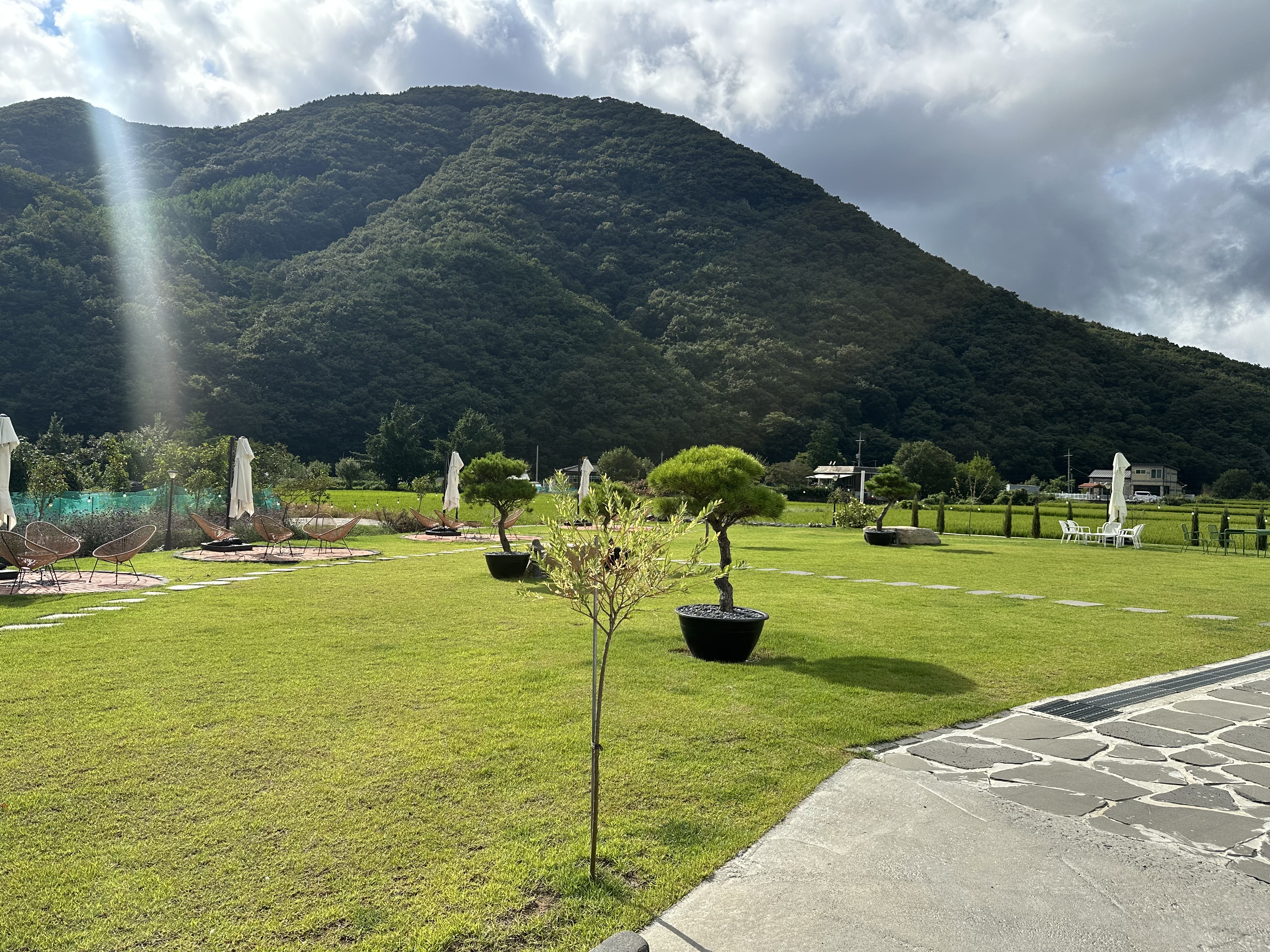 충남 보령, 대천, 무창포 여행 후기3(국내 가족 여행지 추천, 무창포 비체팰리스, 또다시 갯벌체험, 대천 맛집 부페, 점심 밥집 뷔페, 진짜 예쁜 카페 아르나, 분위기 좋은 카페 아르나, 한밤중 닭벼슬섬 산책, 대천항 수산시장 재방문, 찰광어회, 오징어회, 우성수산, 수연호수산, 무창포 비체펠리스, 오션뷰, 밥 해먹을 수 있는 숙소, 무창포 펜션)