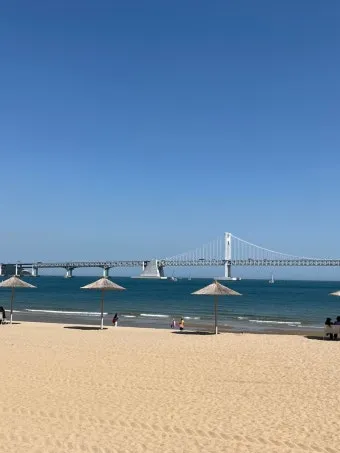 광안리 해수욕장 야경 명소와 데이트 코스 추천_17