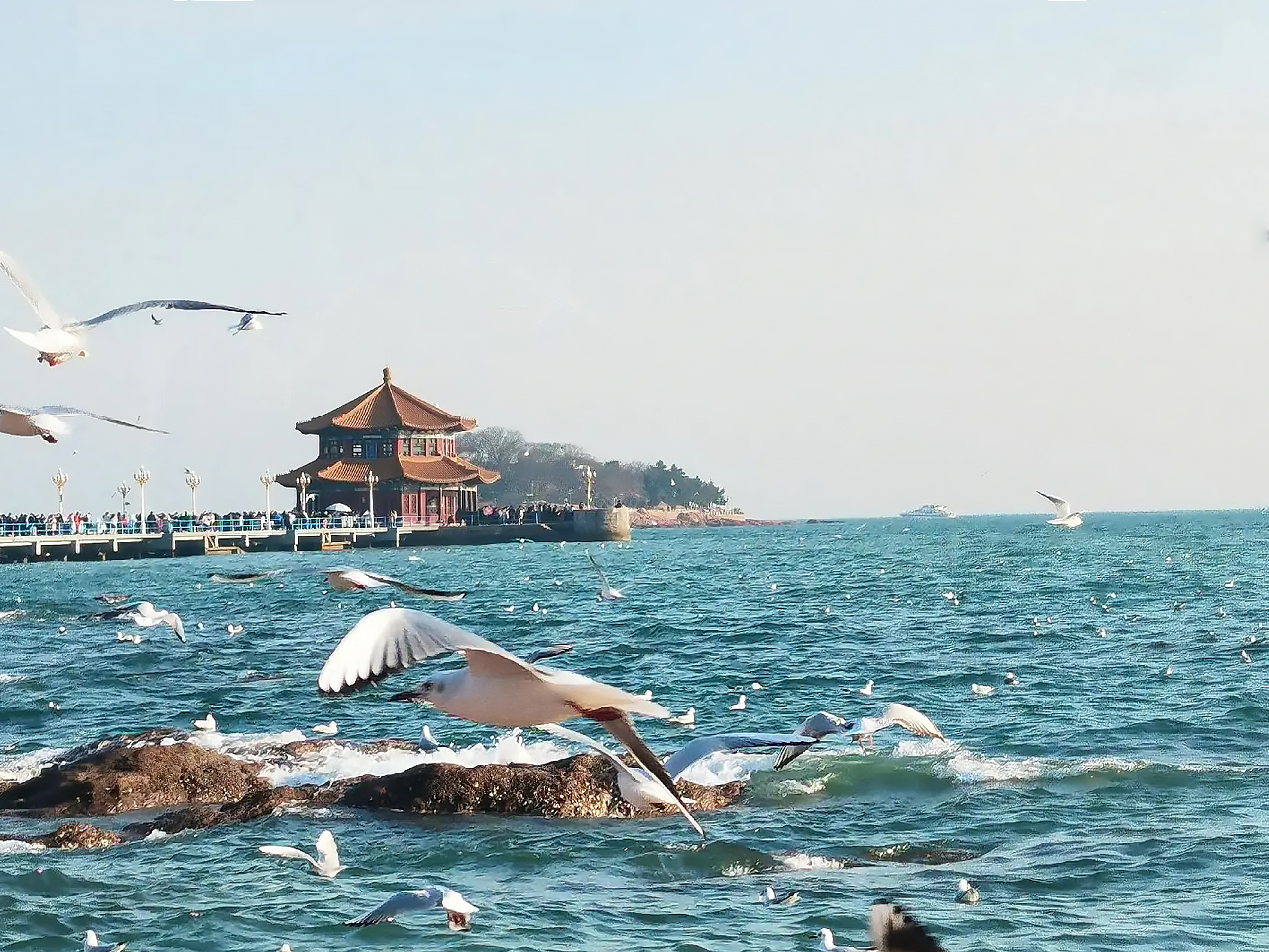 잔교(棧橋)