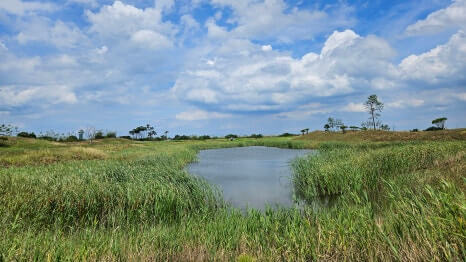 골프장경험담 당진 플라밍고CC 서해안의 시원한 바다와 푸르른 대지위에 조성된 30홀 골프장