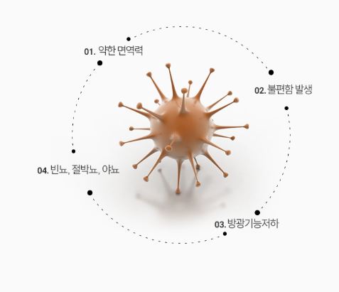 BN01 요습관 요실금 방광염 효능