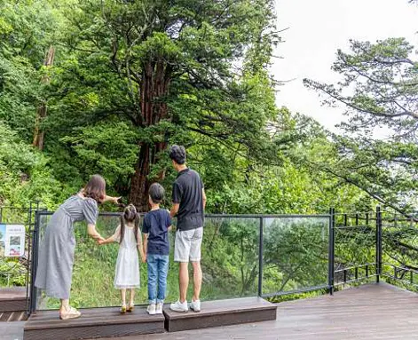 모나파크 용평리조트 발왕산 관광케이블카