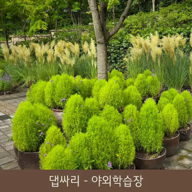 화담숲-예약-꿀팁-홈페이지-예약방법-모노레일-사전예약-화담채-관람-가이드-2024-단풍축제-일정-설명-이미지
