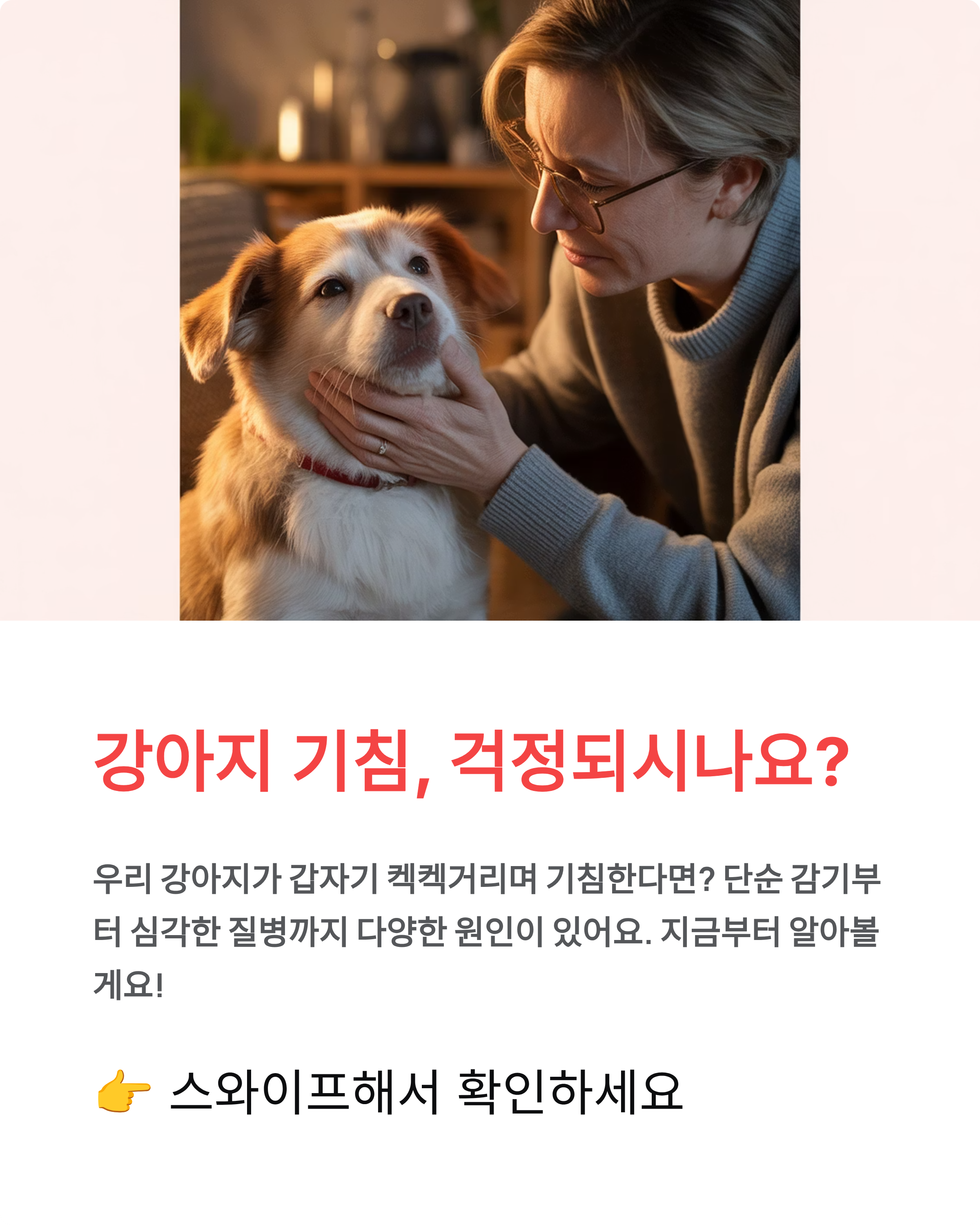 강아지 기침 원인·증상·치료법 총정리! 병원 가야 할 때는?