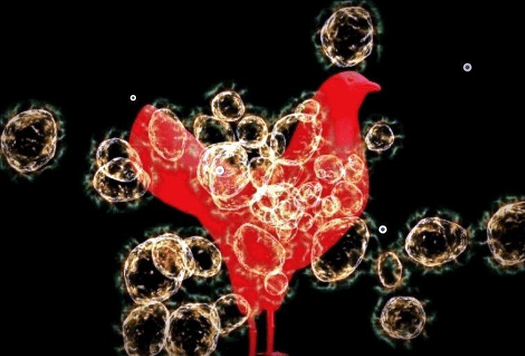 조류인플루엔자