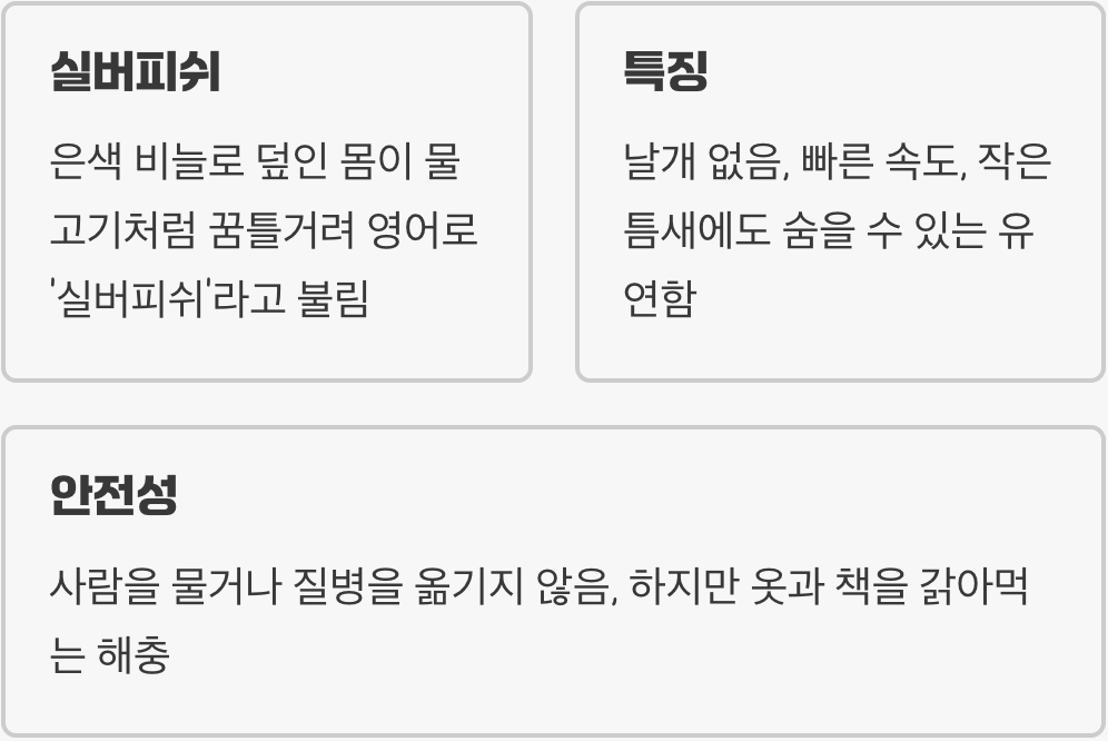 '좀벌레', 넌 누구니? (정체와 특징)