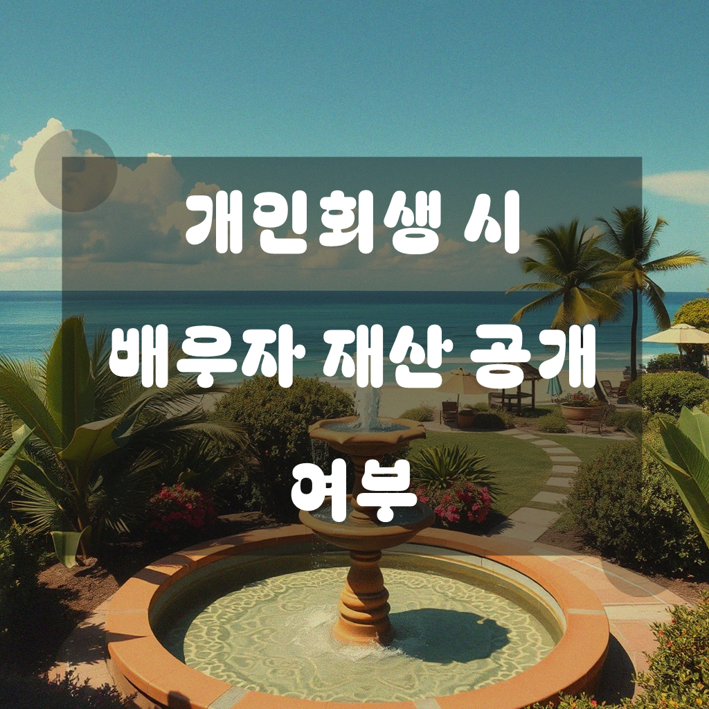 개인회생 신고할 때 배우자 재산을 봐야 하나요?