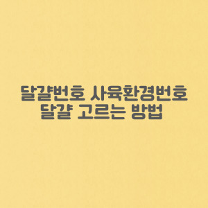 달걀 번호 사육환경번호 및 달걀 잘 고르는 방법