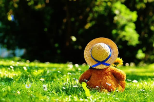 여왕의집 줄거리 인물관계도 정보 충격 반전 다시보기