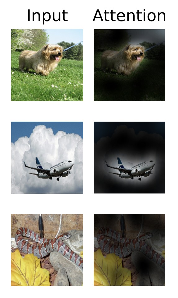 인풋과 어탠션맵