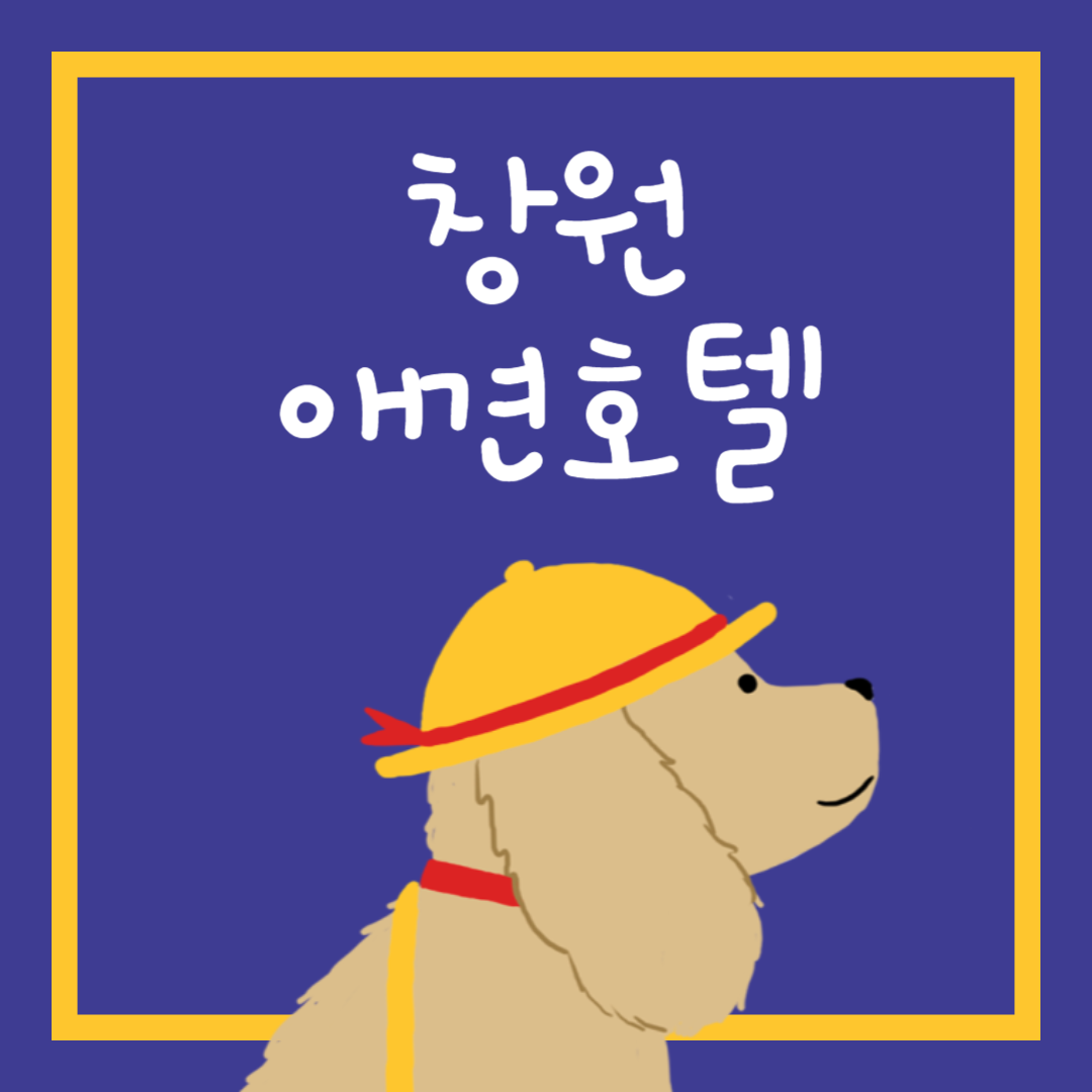 창원 애견호텔